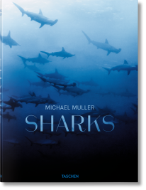 Sharks - 