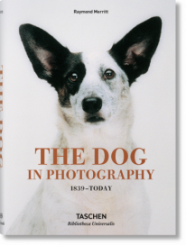 The Dog in Photography 1839–Today - 