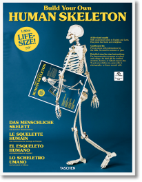 Build Your Own Human Skeleton – Life Size! - 