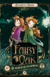 Fairy Oak 1. El secreto de las gemelas