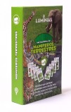 Enciclopedia de Mamíferos Terrestres