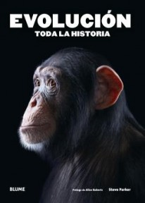 Evolución - 