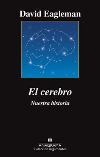 El cerebro - 