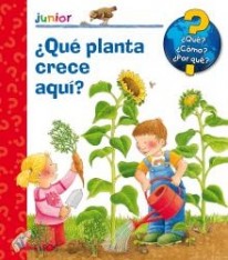 ¿Qué planta crece aquí? - 