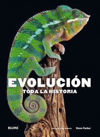 Evolución - 