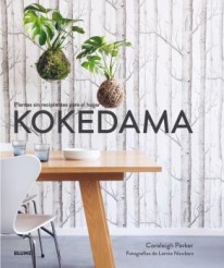 Kokedama - 