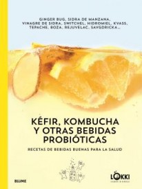 Kéfir, kombucha y otras bebidas probióticas - 