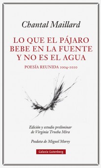 Lo que el pájaro bebe en la fuente y no es el agua - 