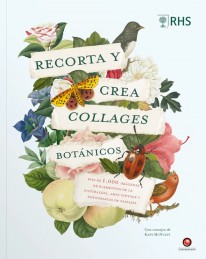 Recorta y crea collages botánicos - 