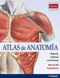 Atlas de anatomía - Varios Autores