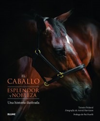 El caballo - 