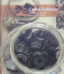 Carlos Gallardo  - 