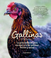 Gallinas - 